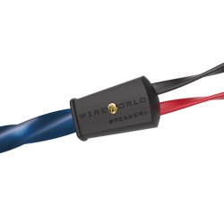 Wireworld Oasis 10 Speaker