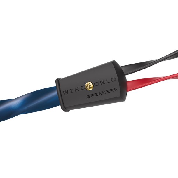 Wireworld Oasis 10 Speaker