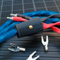 Wireworld Oasis 10 Speaker