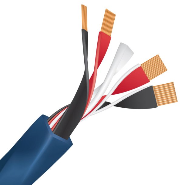 Wireworld Oasis 10 Speaker