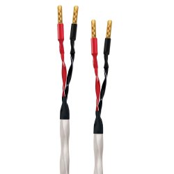 Wireworld Solstice 10 Speaker