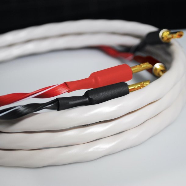 Wireworld Solstice 10 Speaker