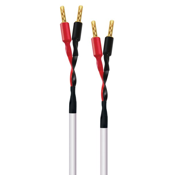 Wireworld Stream 10 Speaker