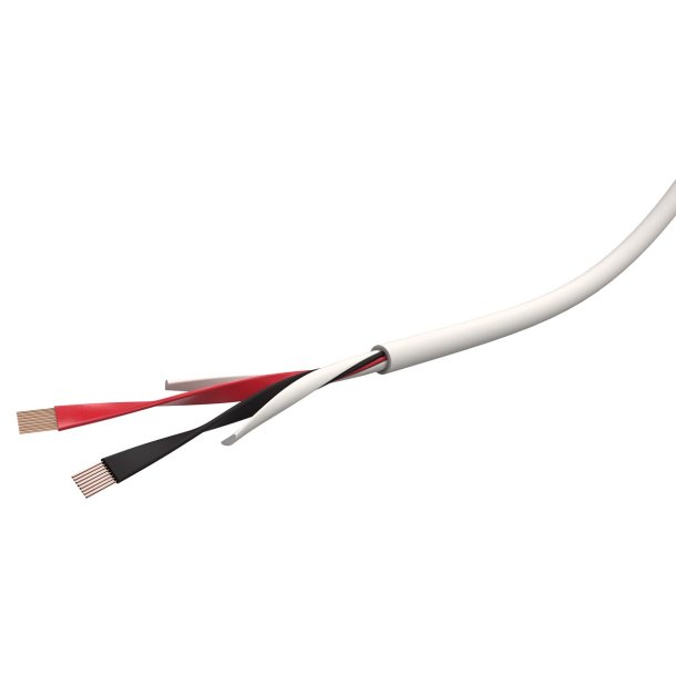 Wireworld Stream 10 Speaker