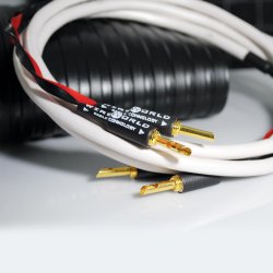 Wireworld Stream 10 Speaker