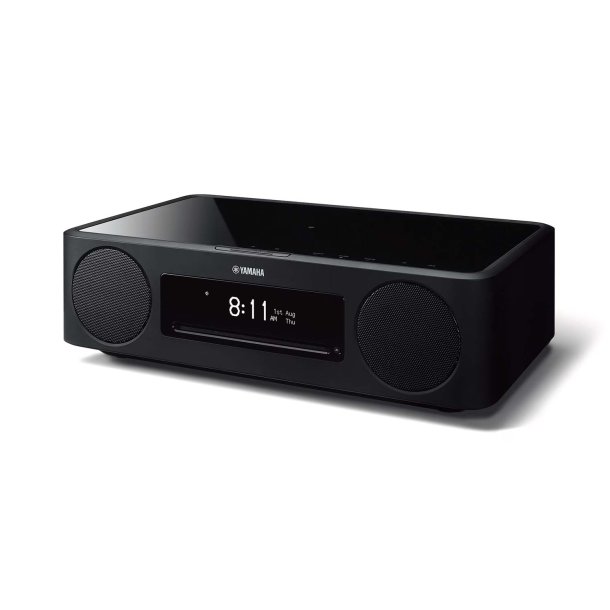 Yamaha MusicCast 200 Sort
