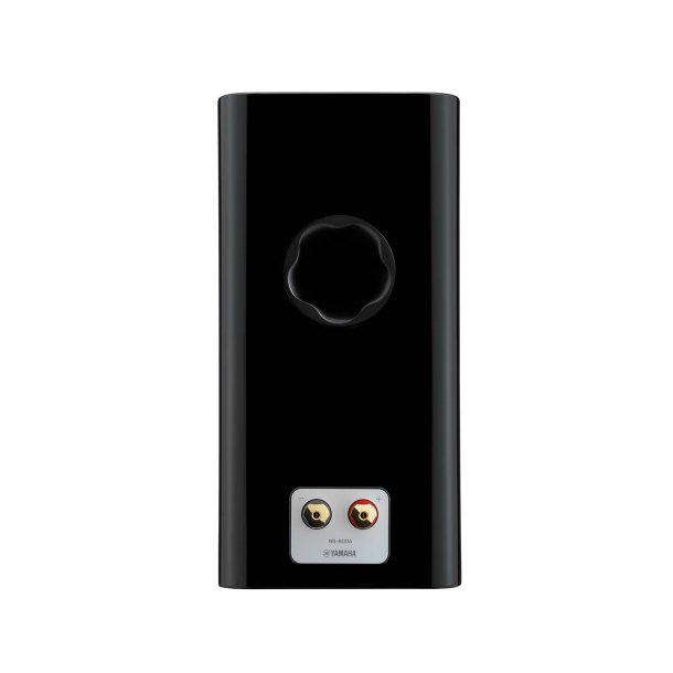 Yamaha NS-800A
